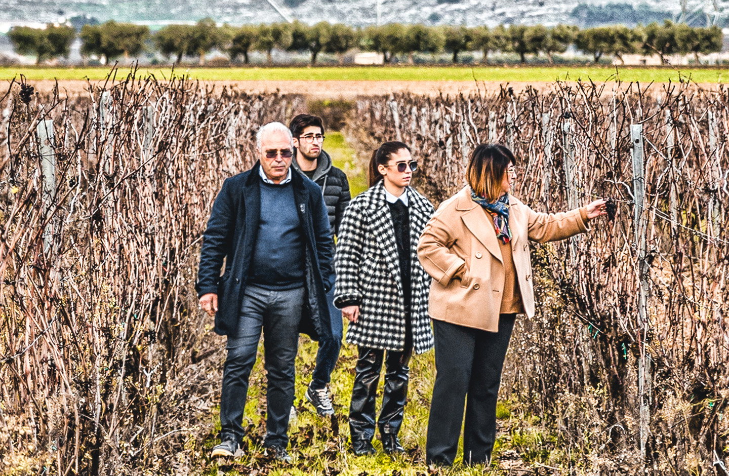 Tenuta Viglione