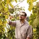 Weingut Blank