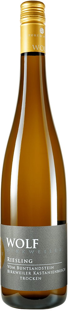 2024 Riesling Kastanienbusch vom Buntsandstein