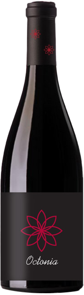 2014 Octonia Montsant DO reflection