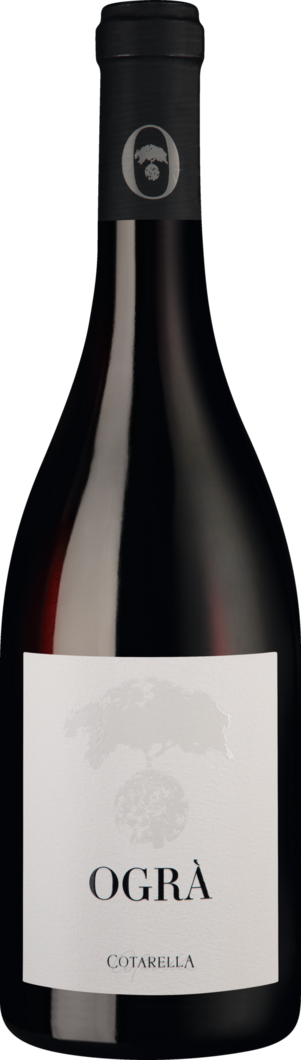 2018 Ogrà Syrah