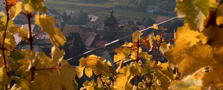 Famille Hugel