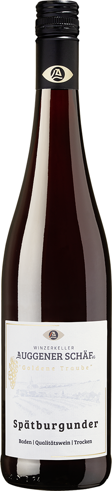 2025 Tradition Spätburgunder Rotwein
