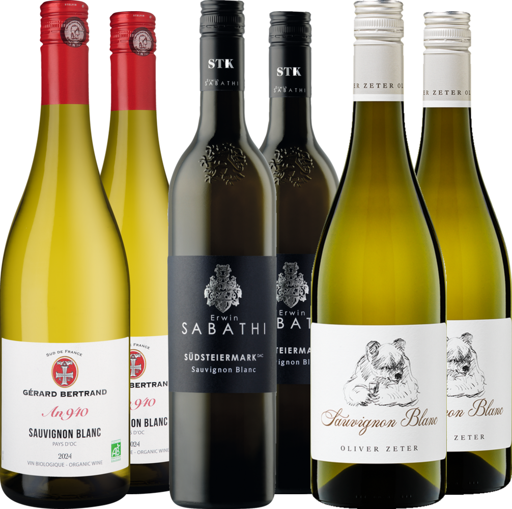 Sauvignon Blanc Entdeckerreise