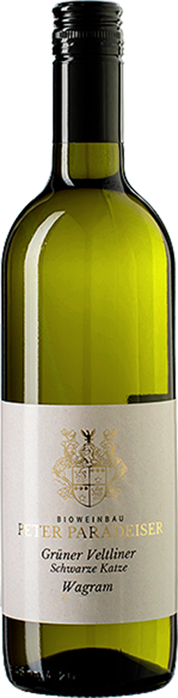 2024 Grüner Veltliner Schwarze Katze BIO