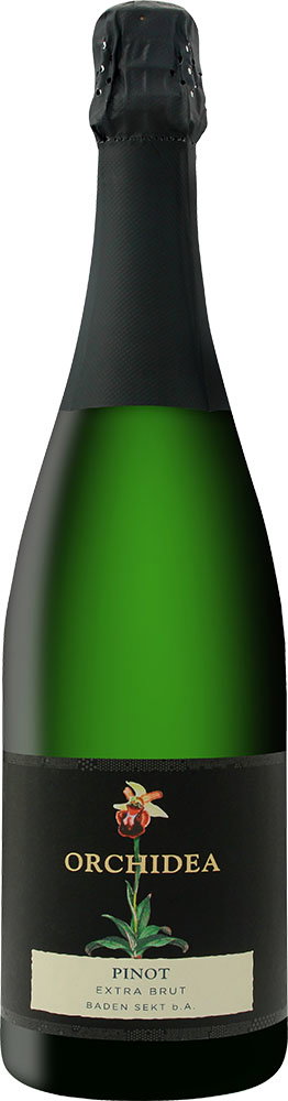 2022 Pinot Winzersekt EDITION ORCHIDEA