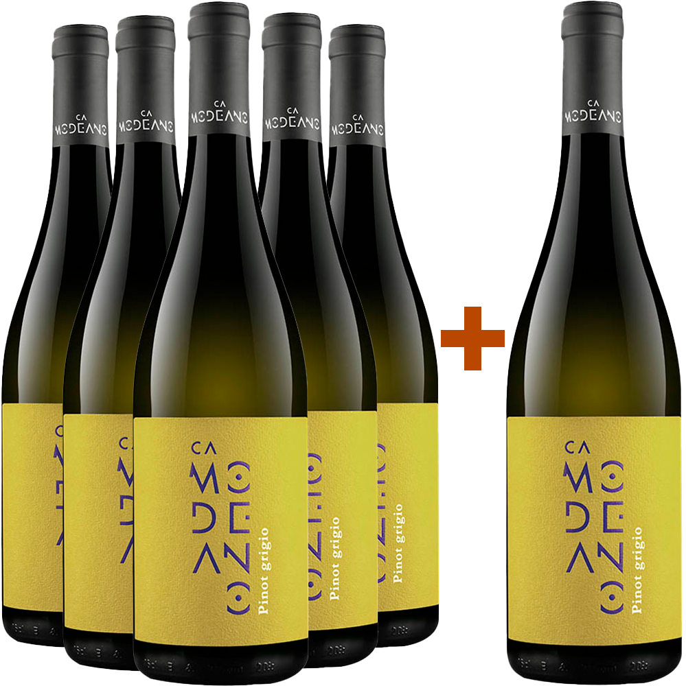 5+1 Paket Pinot Grigio Friuli DOC