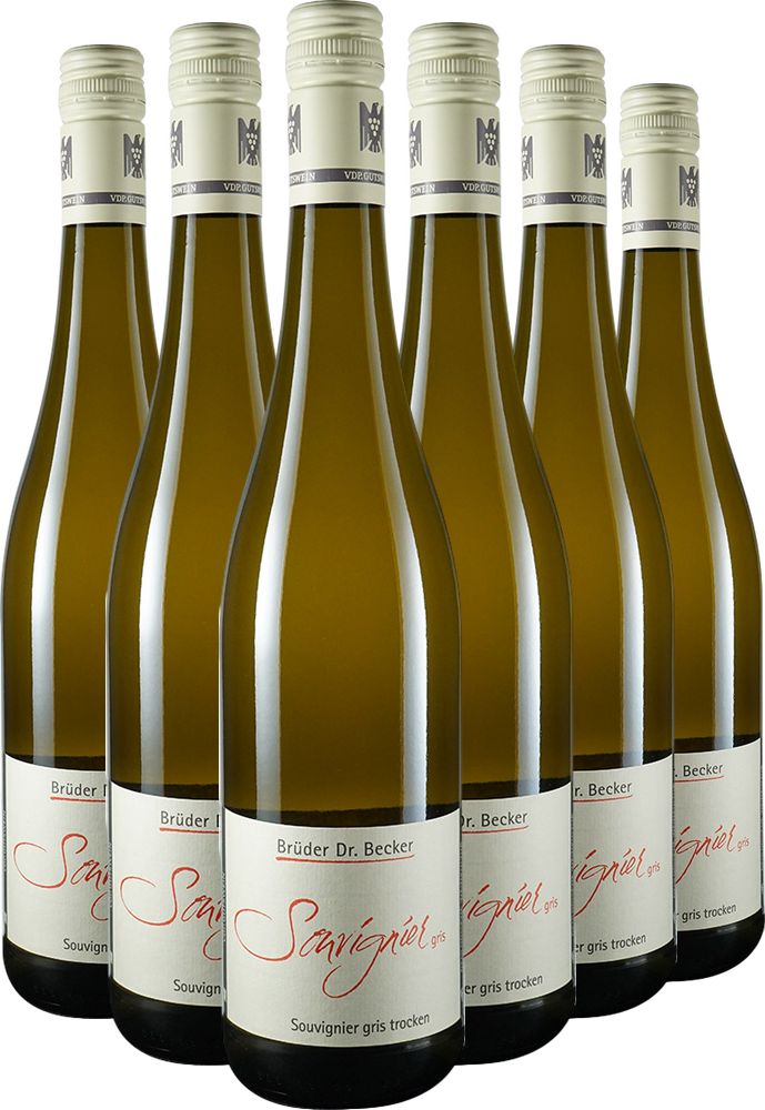 2025 Souvignier gris VDP.GUTSWEIN BIO Paket BIO