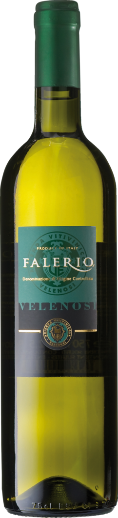 2024 Falerio Bianco