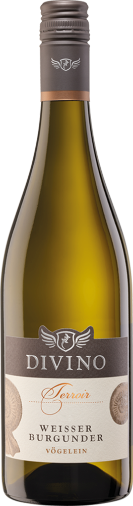 2025 DIVINO Terroir Nordheimer Vögelein Weisser Burgunder