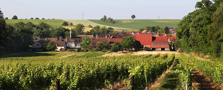 Stadler