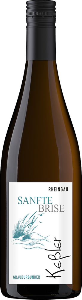 2025 SANFTE BRISE Grauburgunder Qualitätswein