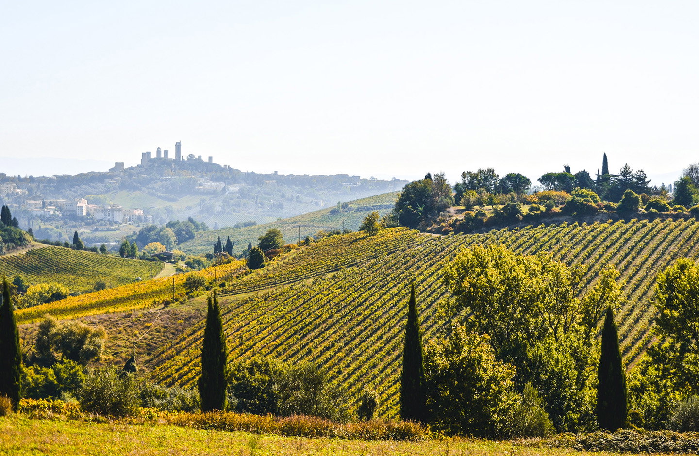 Fattoria di Fugnano