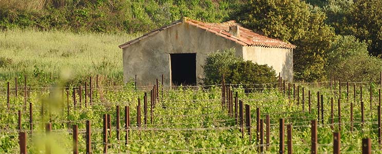 Domaine Espérou