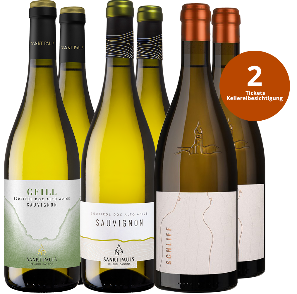 Sauvignon Verkostungsbox + 1 Ticket zur Kellerführung