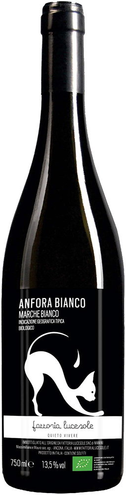 2022 ANFORA BIANCO Marche IGP BIO