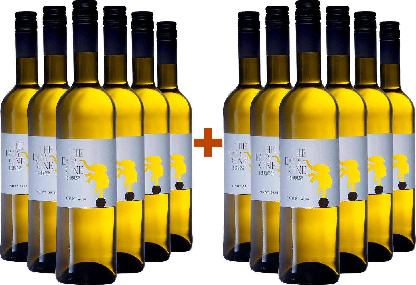 6+6 Paket Pinot gris 5 % Easy One