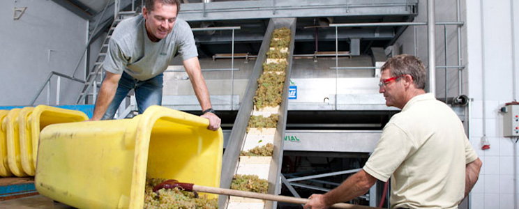 Domaine François Braun et Fils