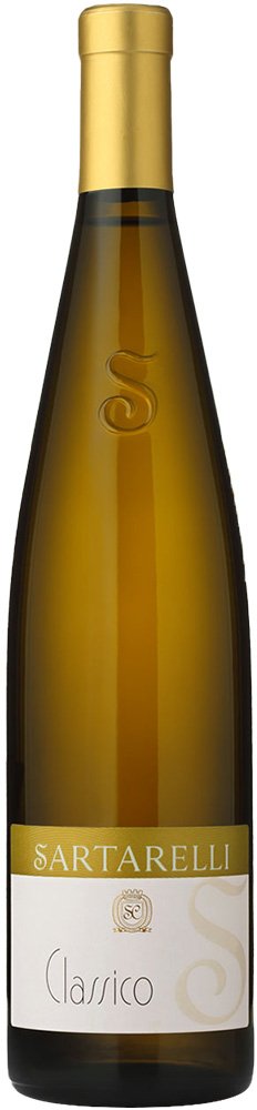 2024 Sartarelli Classico Verdicchio dei Castelli di Jesi DOC reflection