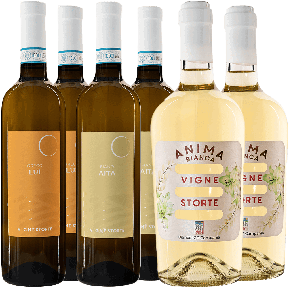 Vigne Storte Kennenlern-Paket