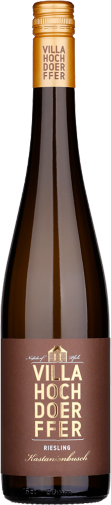 2023 Riesling "Birkweiler Kastanienbusch"