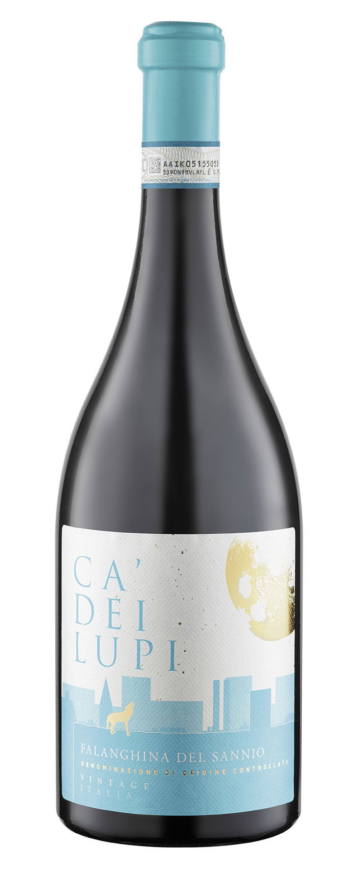 2023 Falanghina del Sannio DOC reflection