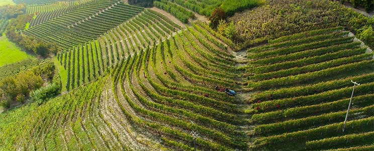 Poderi Moretti