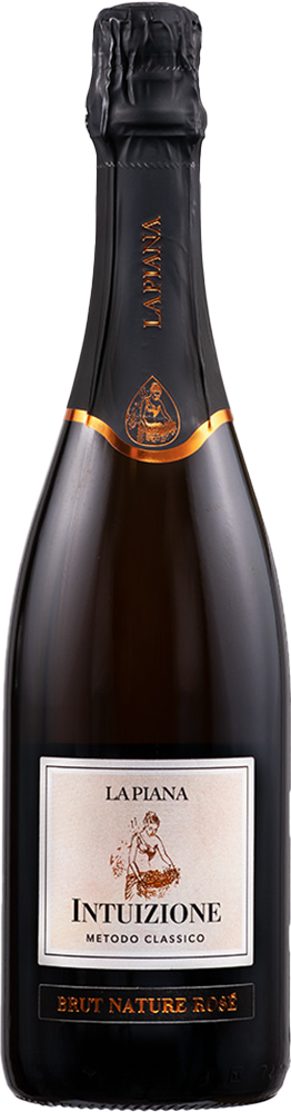 2021 Intuizione Lambrusco Grasparossa di Castelvetro DOC BIO