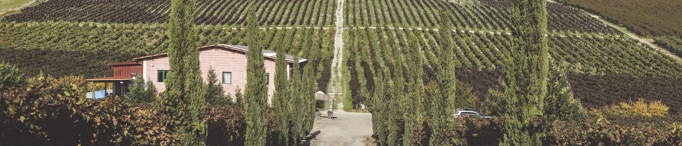 Dell'Aera