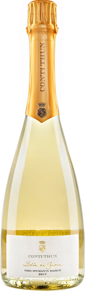 2023 Bolle di Gioia Riviera del Garda Classico DOC