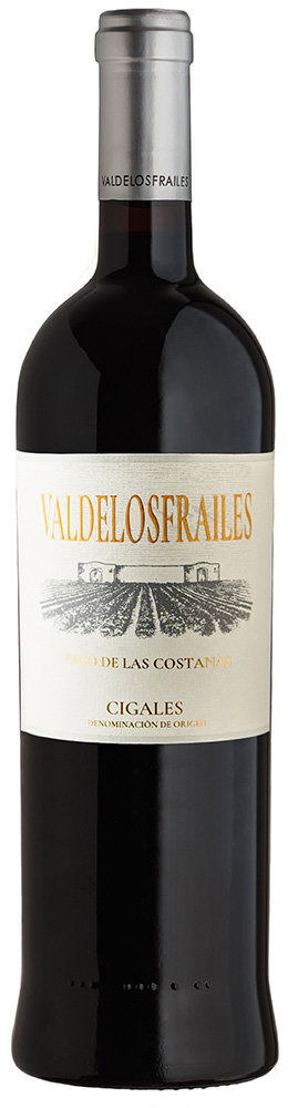 2016 Valdelosfrailes Pago de Las Costanas DO Cigales