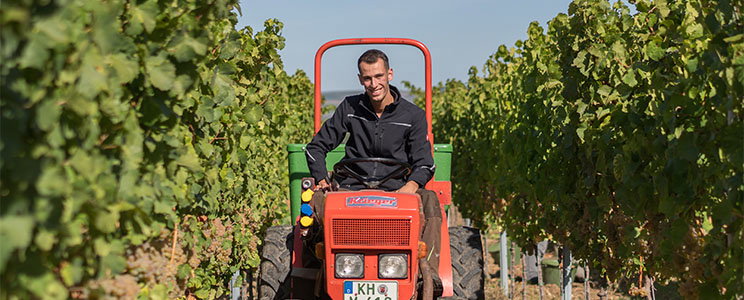 Weinhof Mayer