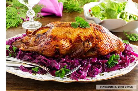 Gaensebraten auf Rotkohl