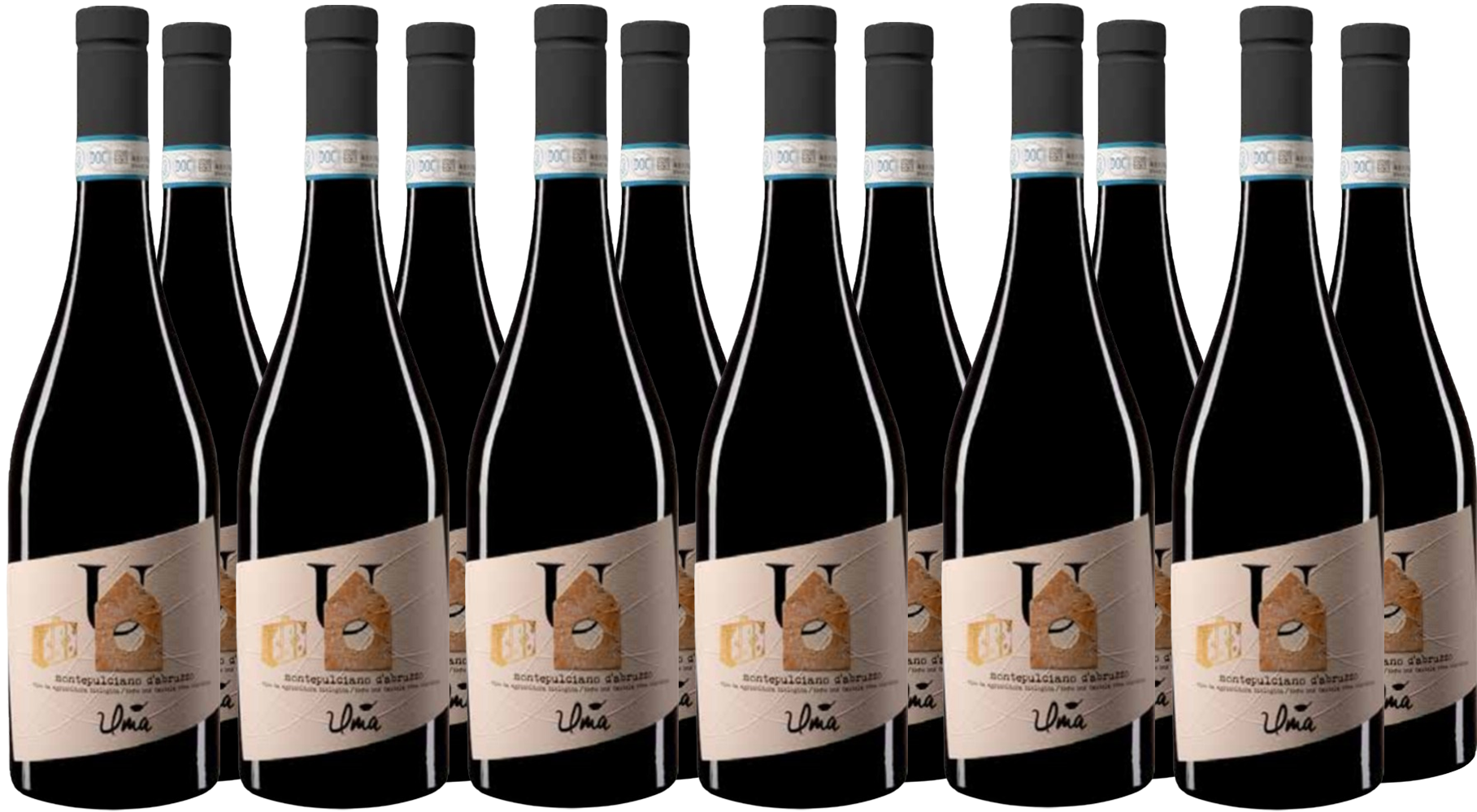 Rotweinpaket Montepulciano DOC 2021 BIO