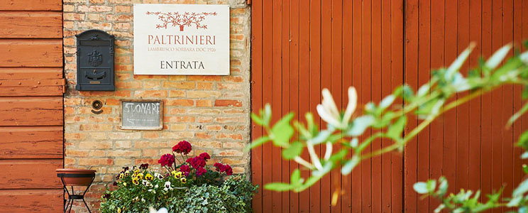 Paltrinieri