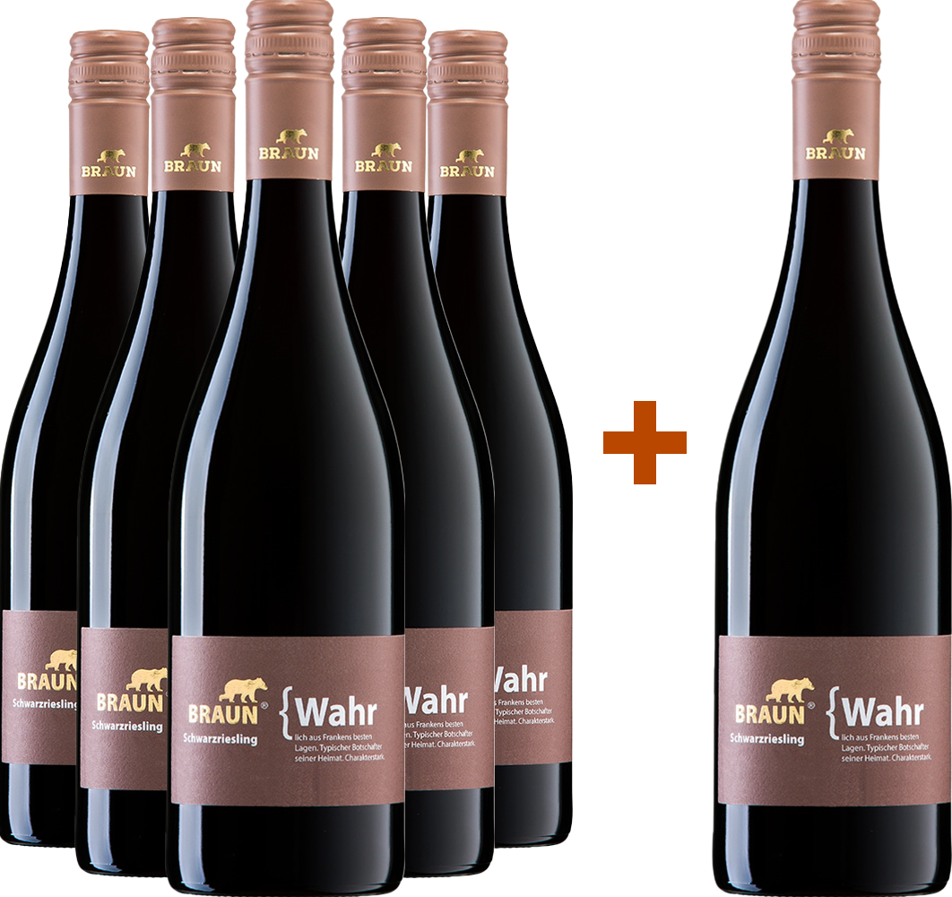 5+1 Paket Schwarzriesling trocken