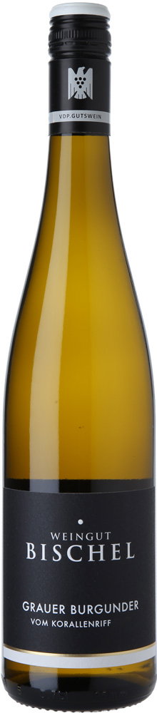 2024 Grauburgunder vom Korallenriff VDP.Gutswein