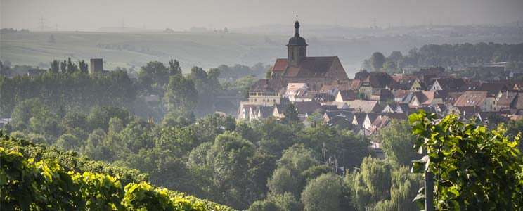 Lauffener Weingärtner