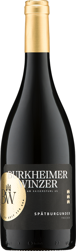 2023 STOLZ Spätburgunder Rotwein "ViniGrande"