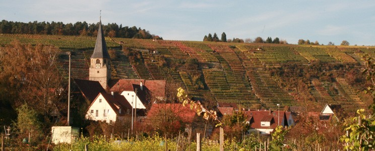 Lembergerland Kellerei Rosswag