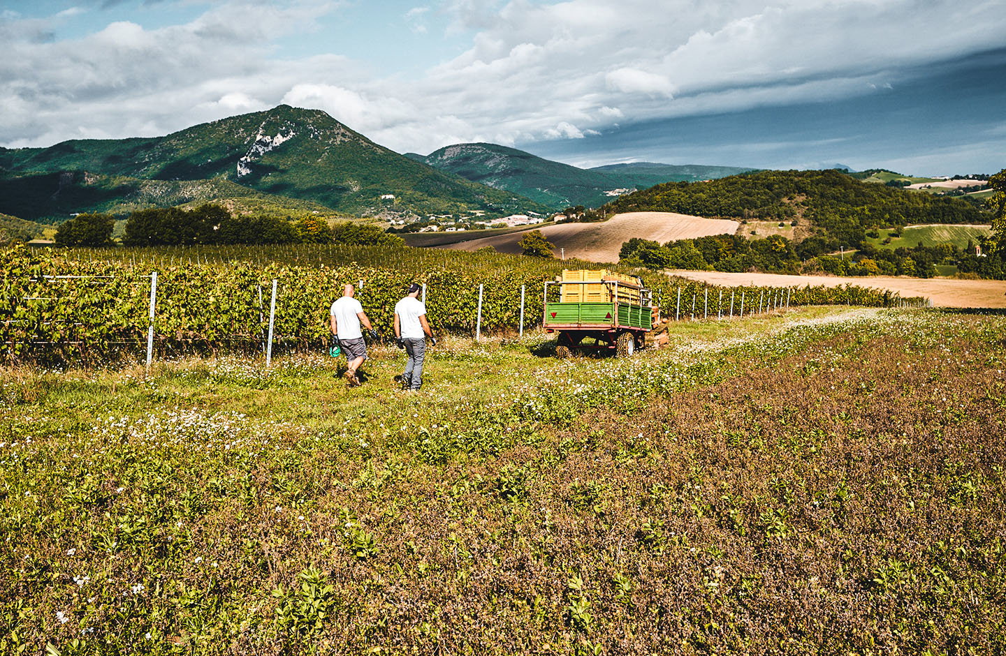 Tenuta Grimaldi