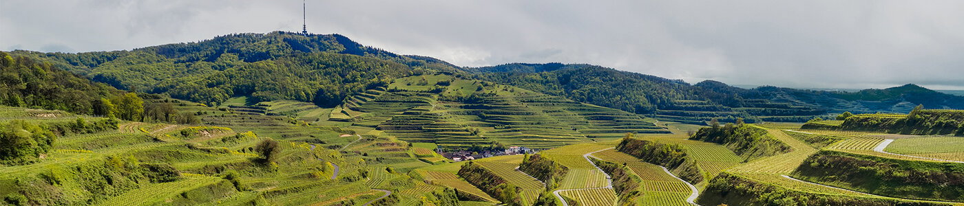Oberbergen