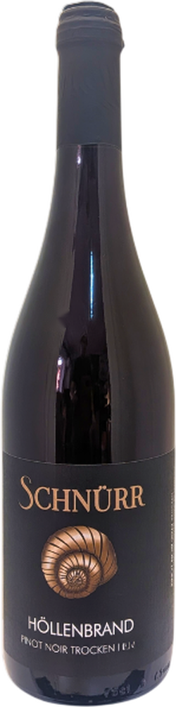 2023 HÖLLENBRAND Pinot noir