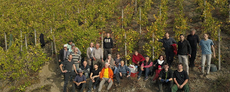 LAHN Weingut Massengeil-Beck