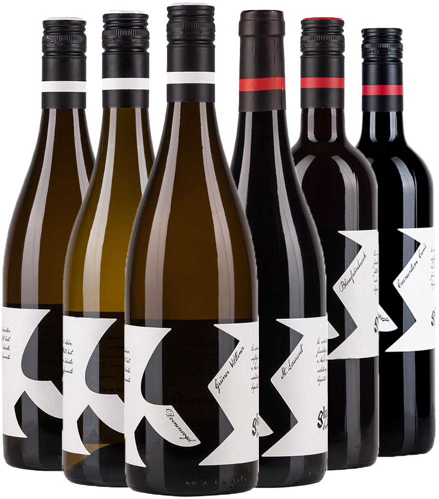 Glatzer Kennenlern-Paket