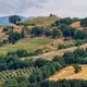 Fattoria La Maliosa