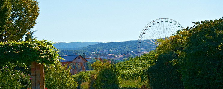 Raßkopf-Hofmann