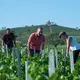 Cave de Fleurie