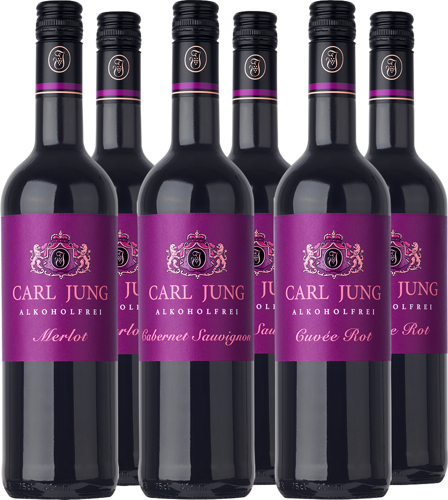 Rotwein-Paket gemischt (6 Flaschen)
