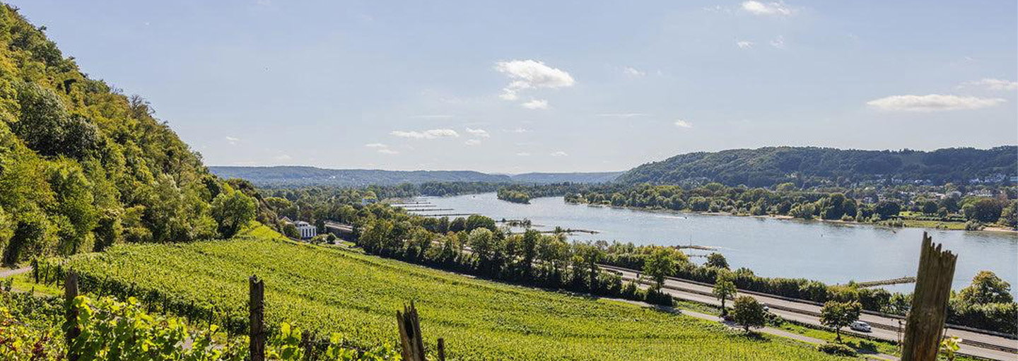 WirWinzer Select Troisdorf